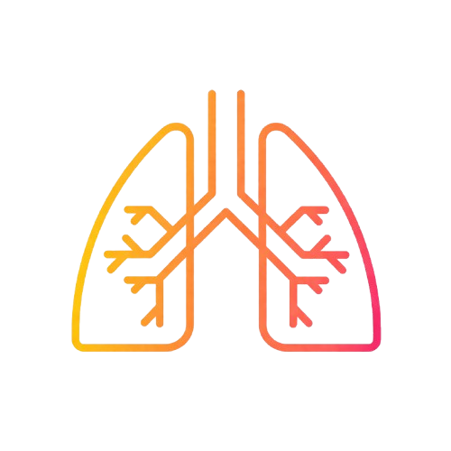Lung Icon